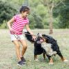 contact a dog bite lawyer in Utah