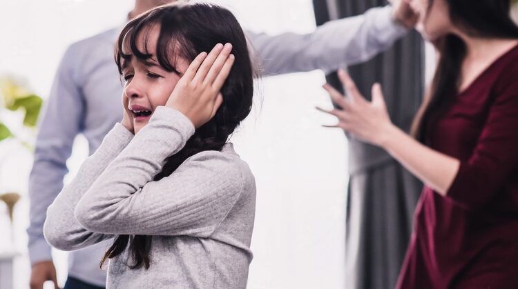 domestic violence legal expert in San Bernardino